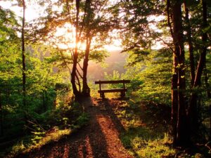 Sinar Matahari: Sumber Kehidupan yang Memberikan Energi, Keindahan, dan Kesehatan bagi Bumi dan Penghuninya